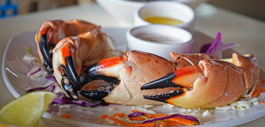 Stone Crab vs. Blue Crab Claws: What Sets Them Apart?