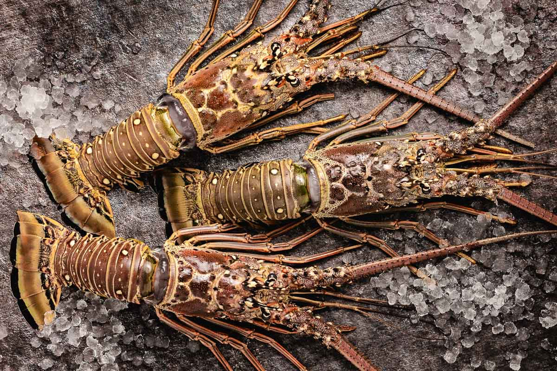 Top 5 Recipes Featuring Spiny Lobster from the Florida Keys