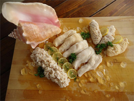 Conch, Tenderized 1lb.