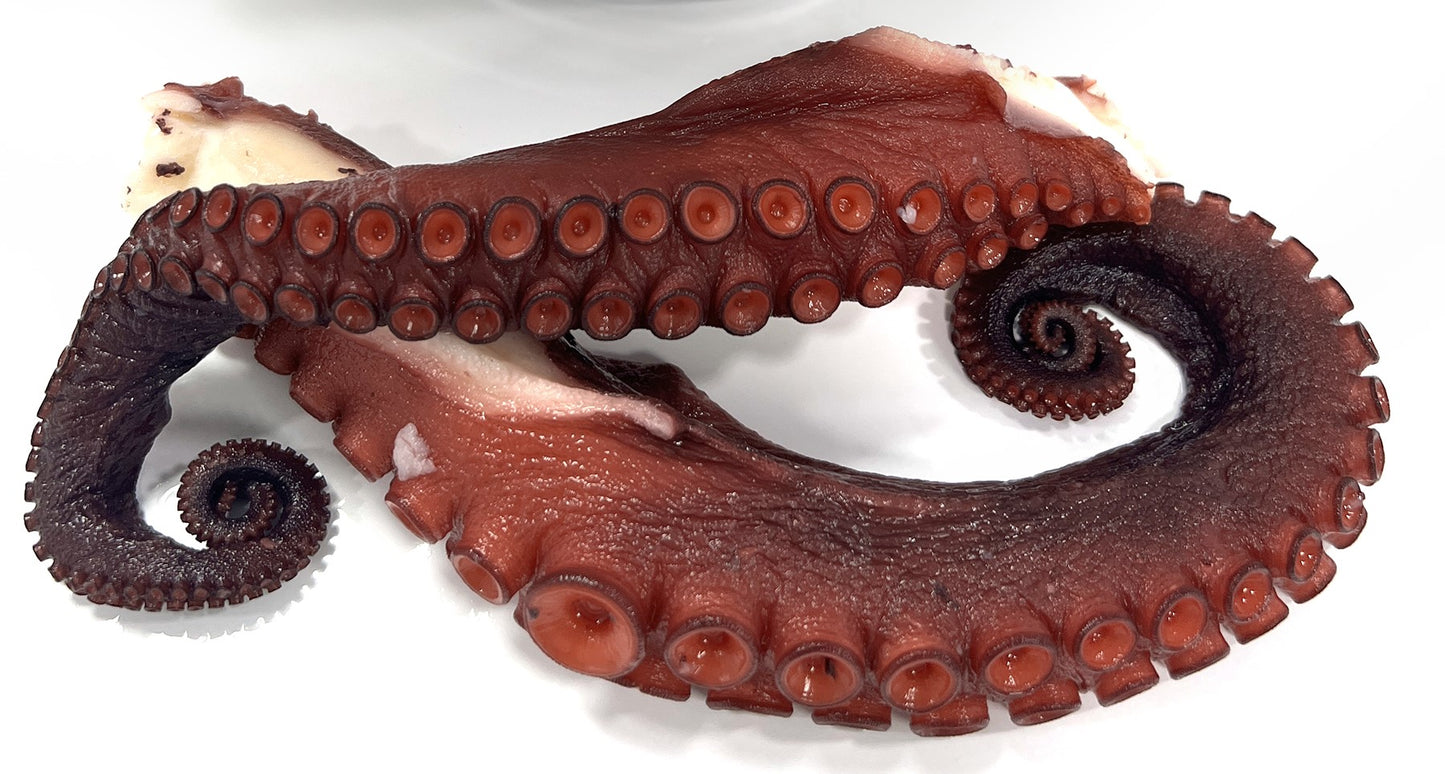 Octopus Tentacles - Cooked