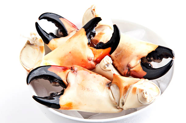 Large Stone Crab Claws