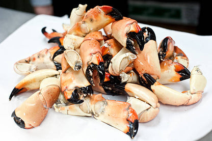 Medium Stone Crab Claws